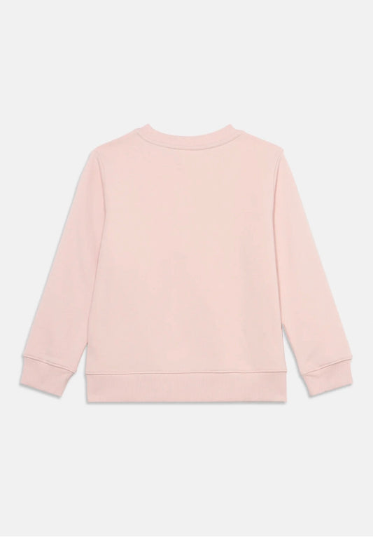 Lacoste felpa girocollo felpata FW27