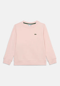 Lacoste felpa girocollo felpata FW27